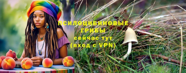герыч Арсеньев