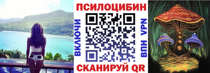 Галлюциногенные грибы Magic Shrooms  Сургут 
