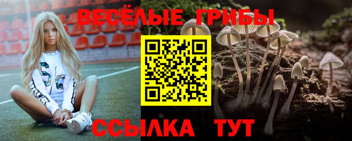 Псилоцибиновые грибы Cubensis Сургут