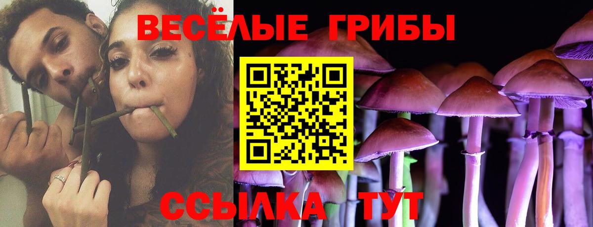 Сургут  Галлюциногенные грибы мухоморы  Галлюциногенные грибы Magic Shrooms  Вход с VPN 