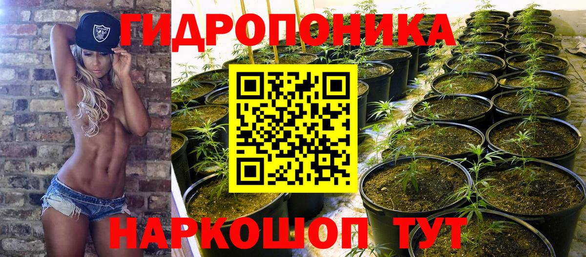 Сургут  МАРИХУАНА SATIVA & INDICA  Вход с VPN  Шишки марихуана конопля 